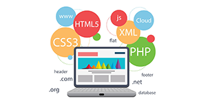 web development service